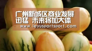 广州新城区商业发展迅猛 未来将加大体验式布局力度|乐鱼体育(图1) LEYU乐鱼体育